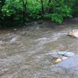 渇水→濁流 ～九頭竜川水系～